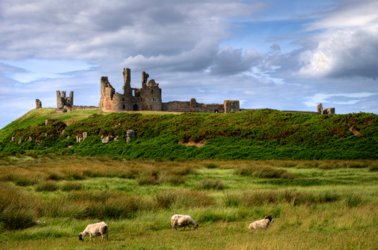 Dunstanburgh Castle, Craster, Northumberland