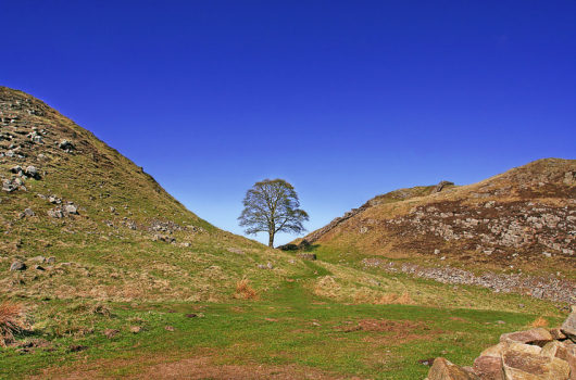 Hadrian's Wall, Sycamore Gap, Northumberland